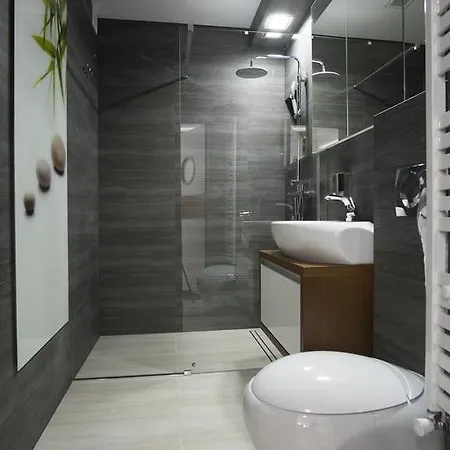 Apartamenty Comfort & Spa Stara Polana Vipapartamenty Zakopane Room photo