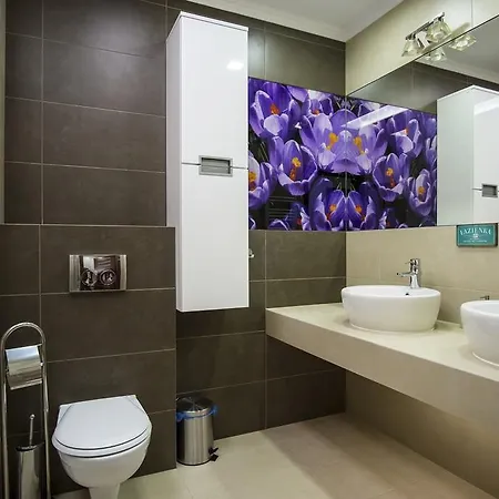 Apartamenty Comfort & Spa Stara Polana Vipapartamenty Zakopane Exterior photo