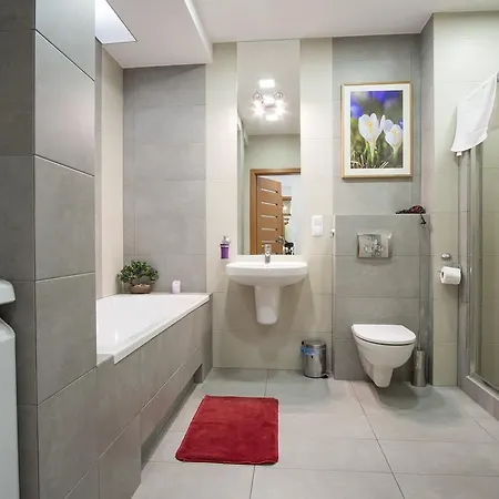Apartamenty Comfort & Spa Stara Polana Vipapartamenty Zakopane Exterior photo