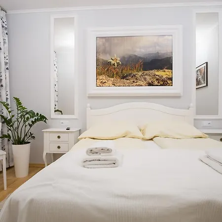 Apartamenty Comfort & Spa Stara Polana Vipapartamenty Zakopane Exterior photo