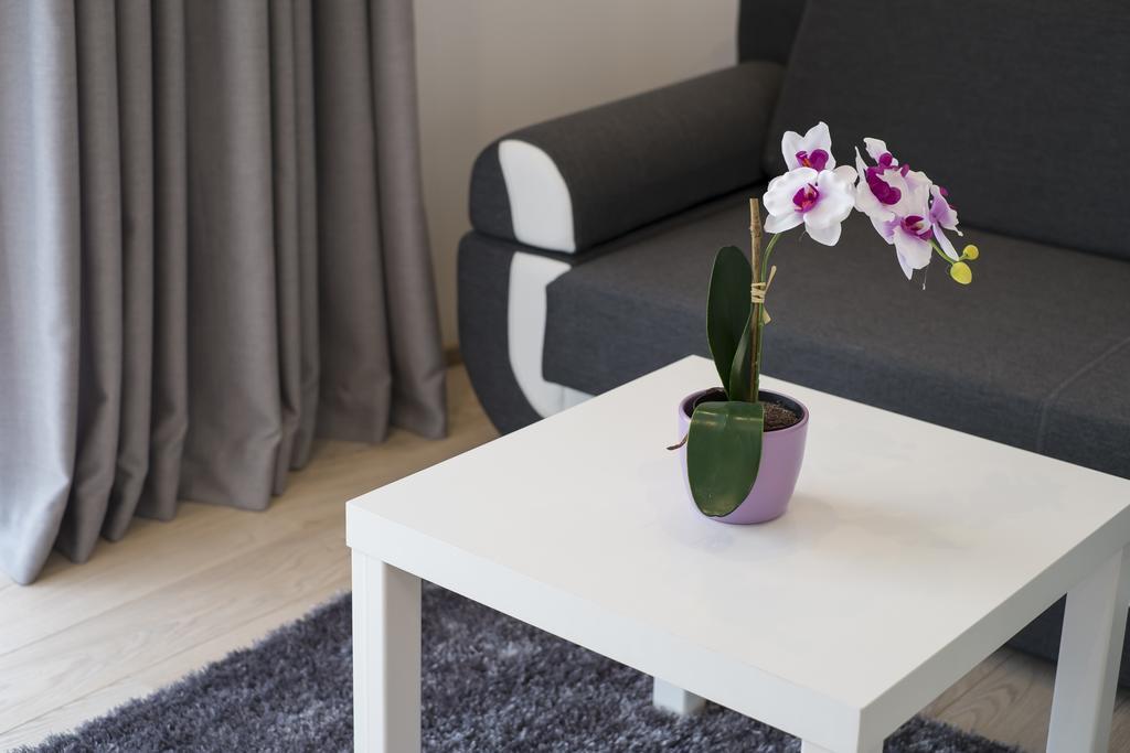 Comfort & Stara Polana Vipapartamenty Apartament *